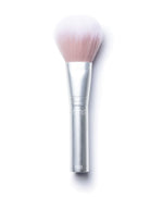 Load image into Gallery viewer, Skin2Skin Powder Blush Brush
