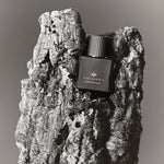 Load image into Gallery viewer, CARVED OUD 100ml
