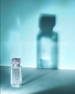 Load image into Gallery viewer, Aqua Universalis Eau De Toilette
