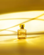 Load image into Gallery viewer, Aqua Vitae Cologne Forte Eau De Parfume
