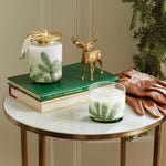 Load image into Gallery viewer, Frasier Fir Heritage Medium Pine Needle Luminary 11oz
