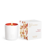 Load image into Gallery viewer, Rue des Groseilliers Candle
